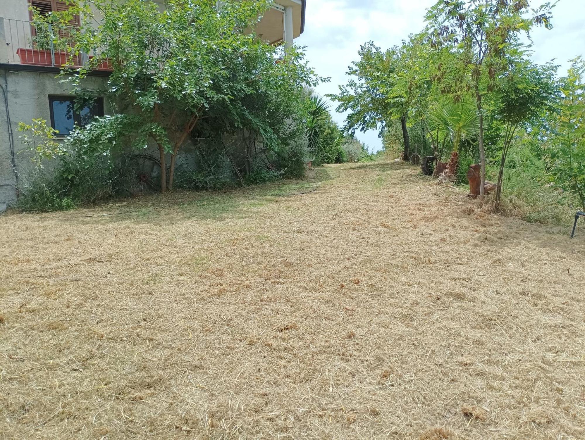 Palapico Hotel Bonifati Luaran gambar